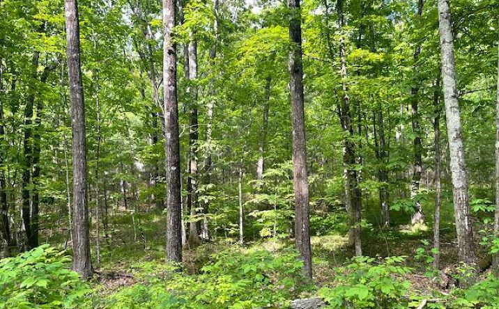 Pictures of Land, Special Purpose property located at L-6 N Joel M Austin Road N, Cairo, NY 12413 for sales - image #1