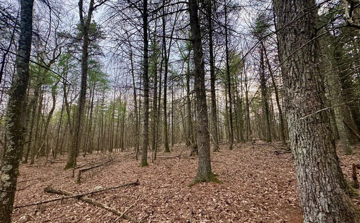 Pictures of Land property located at 44 Cliff Road, Accord, NY 12404 for sales - image #1