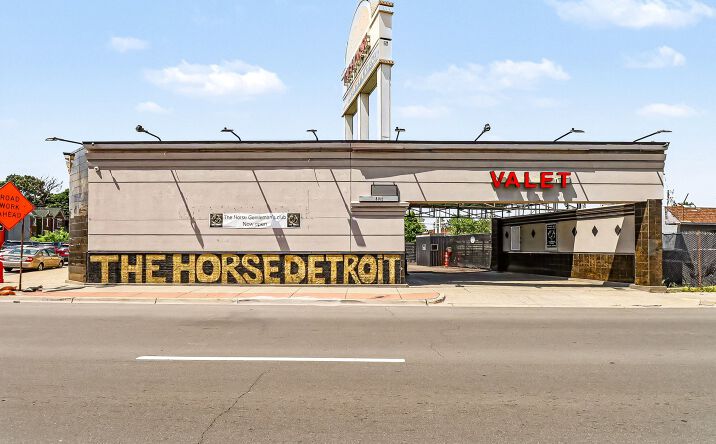 Pictures of Retail, Hospitality, Business for Sale property located at 8140 MICHIGAN AVE, DETROIT, MI 48210-2146 for sales - image #1