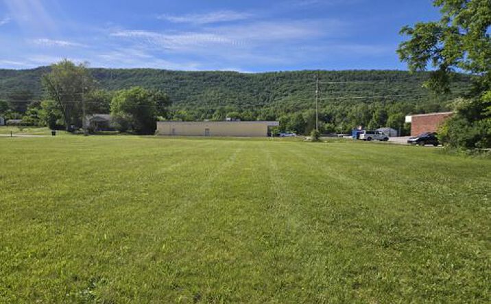Pictures of Land property located at Omega St, Harriman, TN 37748 for sales - image #1
