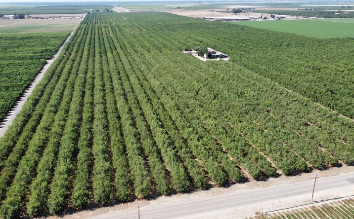 Pictures of Land property located at 5601 E CLARKSON AVE, SELMA, CA 93662-9644 for sales - image #1