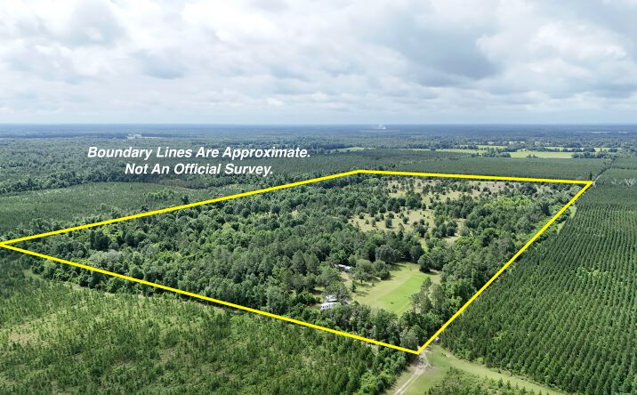 Pictures of Land property located at Henry Way, Greenwood, FL 32443 for sales - image #1