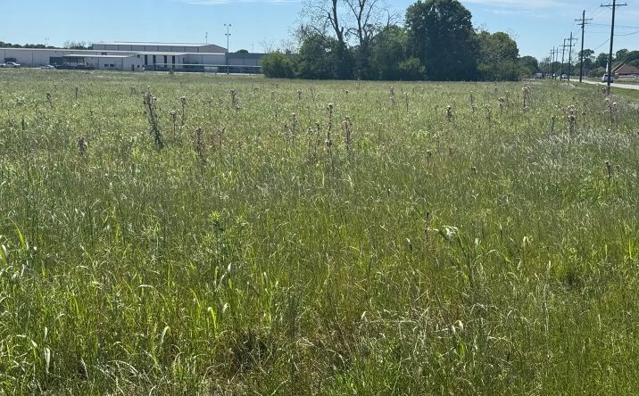 Pictures of Land property located at 300 Saint Etienne Road, Broussard, LA 70518 for sales - image #1