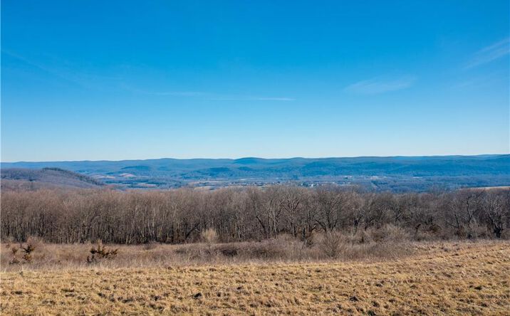 Pictures of Land property located at 1297 Route 343, Dover Plains, NY 12522 for sales - image #1