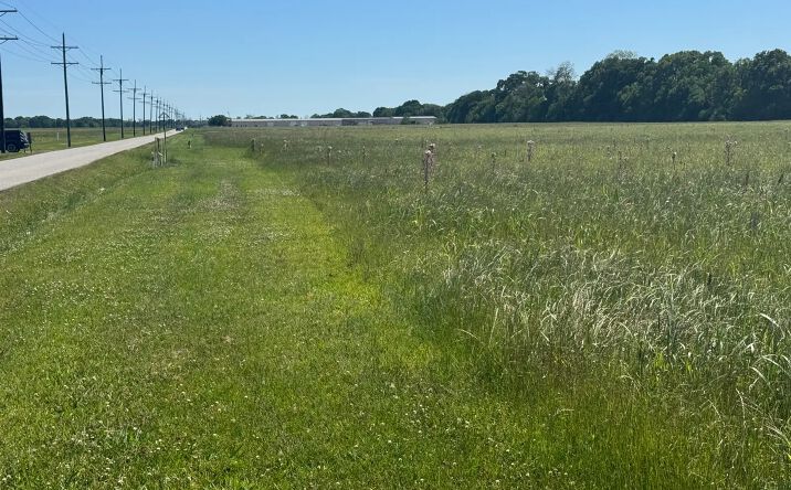Pictures of Land property located at 400 Saint Etienne Road, Broussard, LA 70518 for sales - image #1