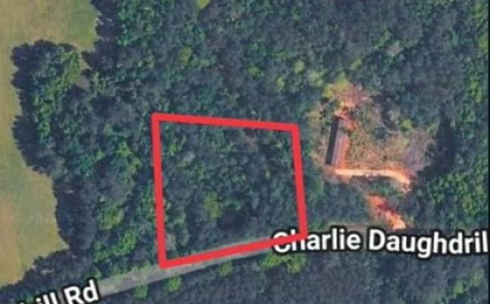 Pictures of Land, Multifamily, Special Purpose property located at 1 acre Charlie Daughdrill Road, Carriere, MS 39560 for sales - image #1