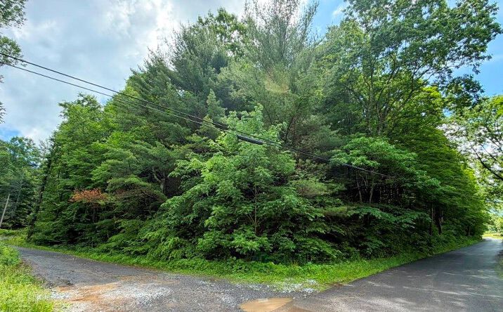 Pictures of Land, Multifamily property located at TBD Doubletree Drive, Chilhowie, VA 24319 for sales - image #1