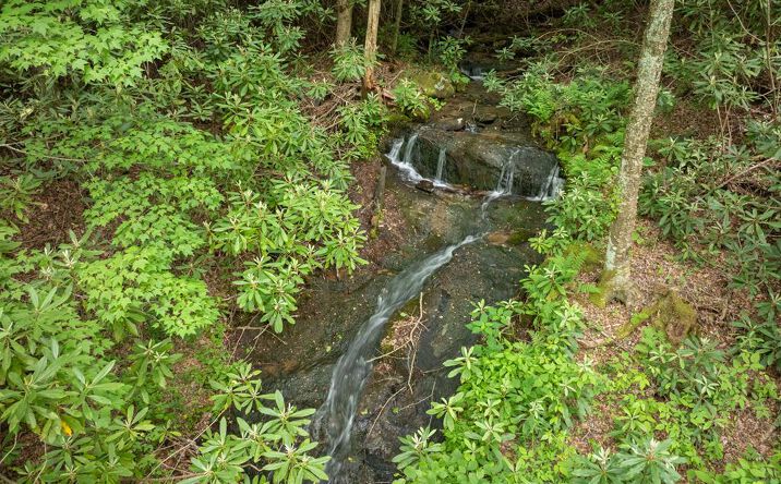 Pictures of Land property located at Walnut Cove Road, Robbinsville, NC 28771 for sales - image #1