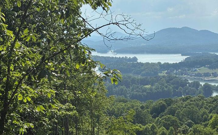 Lot 46 Dan Knob (Lot), Hayesville