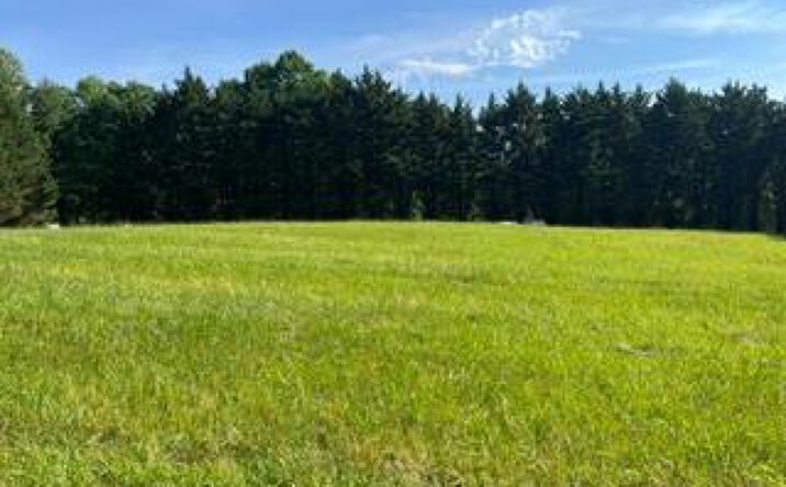n/a Kiutuestia Creek Road, Blairsville