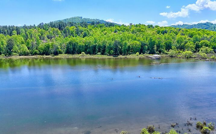 Pictures of Land property located at Lot 114 Sandy Lake Lane, Blairsville, GA 30512 for sales - image #1