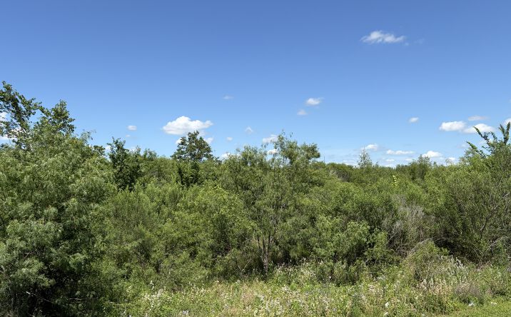 Pictures of Retail, Land property located at Highway 159 East, Bellville, TX 77418 for sales - image #1