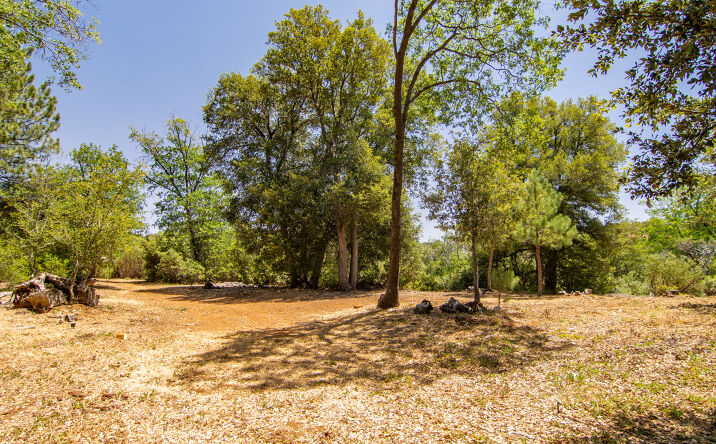 Pictures of Land property located at 0 INCENSE CEDAR RD, JULIAN, CA 92036 for sales - image #1