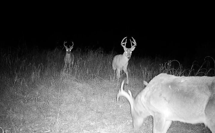 Pictures of Land property located at 50405 W 31st Street S, Oilton, OK 74030 for sales - image #1