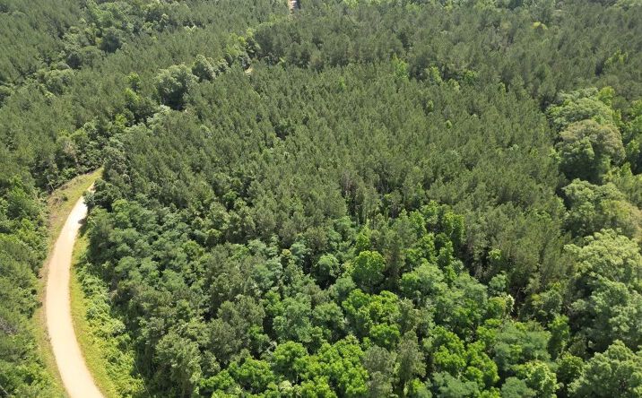 Pictures of Land property located at Beach Road, 70721, MS 39661 for sales - image #1