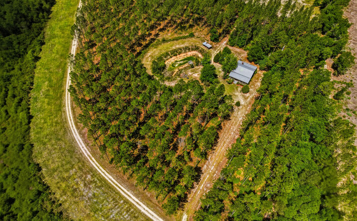 Pictures of Land property located at 88 Minnesota Road, Screven, GA 31560 for sales - image #1