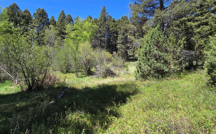 Pictures of Land property located at TBD Powerline, BOULDER, MT 59632 for sales - image #1
