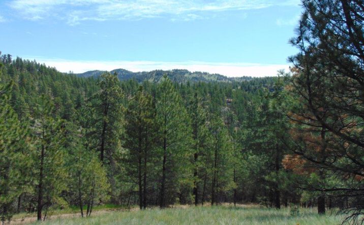 Pictures of Land property located at 19 Lookout Lane, CASCADE, MT 59421 for sales - image #1