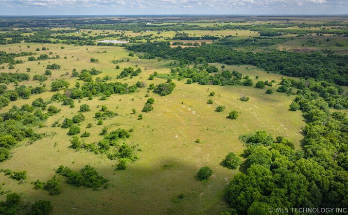 Pictures of Land property located at 9006 County Road 1650, Roff, OK 74865 for sales - image #1