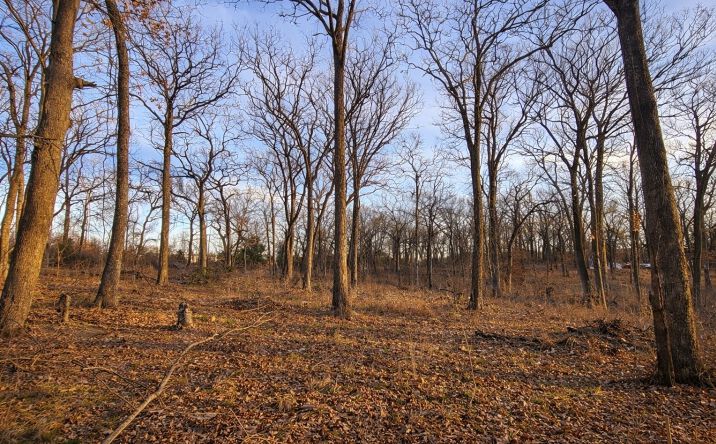 Pictures of Land property located at 4879 Cobb Road, Kingston, OK 73439 for sales - image #1