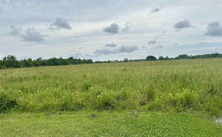 Pictures of Land property located at Carlile Lane, Lake Charles, LA 70607 for sales - image #1