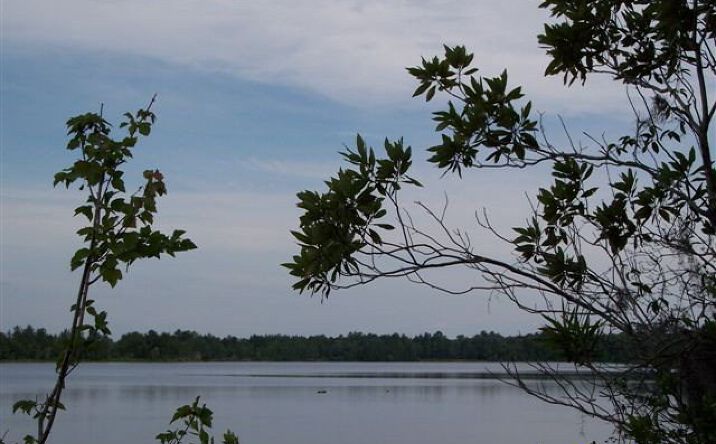 Pictures of Land property located at 5904 Natures Way, Naylor, GA 31641 for sales - image #1