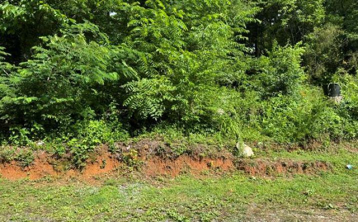 Pictures of Land property located at 92 Benji Drive, Ellijay, GA 30540 for sales - image #1
