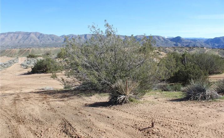 Paisley, Hesperia