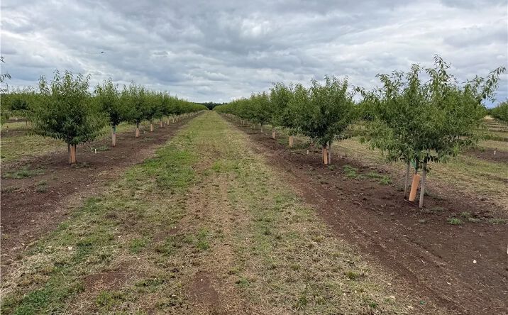 Pictures of Land property located at Hegan, Chico, CA 95928 for sales - image #1