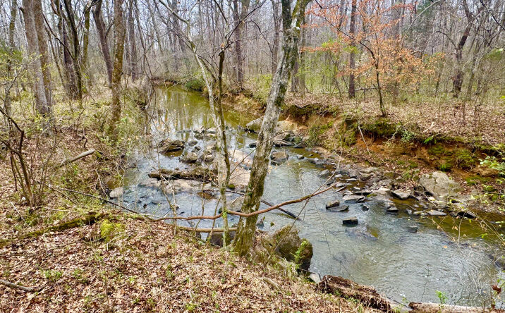 Pictures of Land, Multifamily, Special Purpose property located at A3 Camp Creek Road #Parcel A3, Lancaster, SC 29720 for sales - image #1