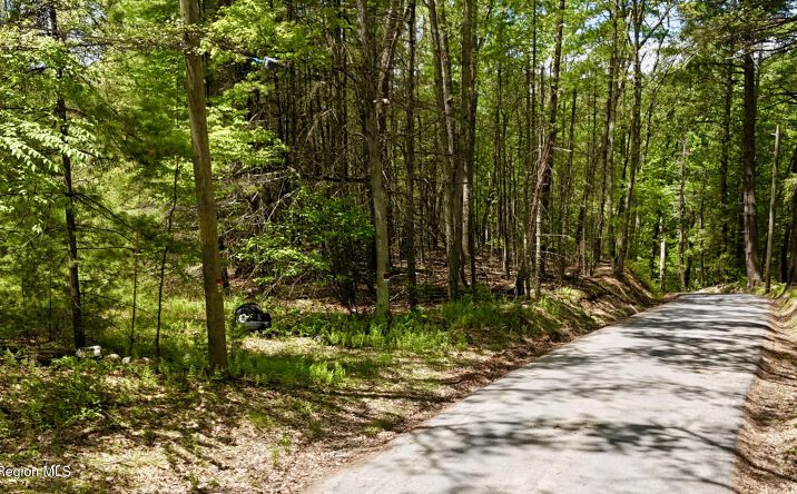 Pictures of Land property located at Depot Road, Wurtsboro, NY 12790 for sales - image #1