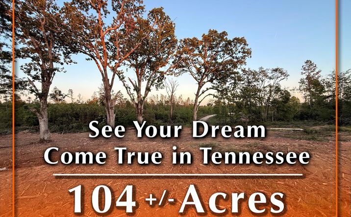 Pictures of Land property located at Haglersville Rd_Parcels 1, Mansfield, TN 38236 for sales - image #1
