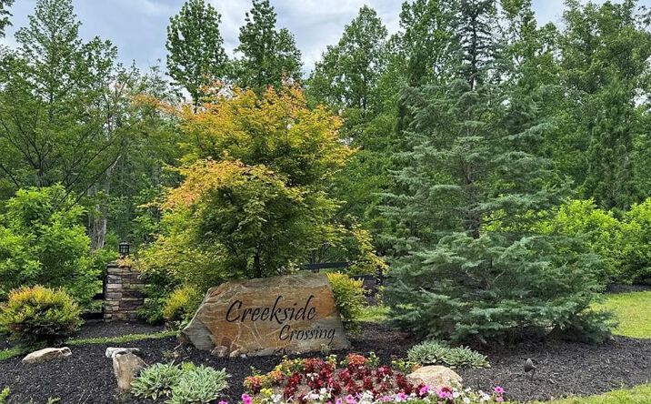 Pictures of Land property located at 197 Blalock Mountain Court, Talking Rock, GA 30175 for sales - image #1