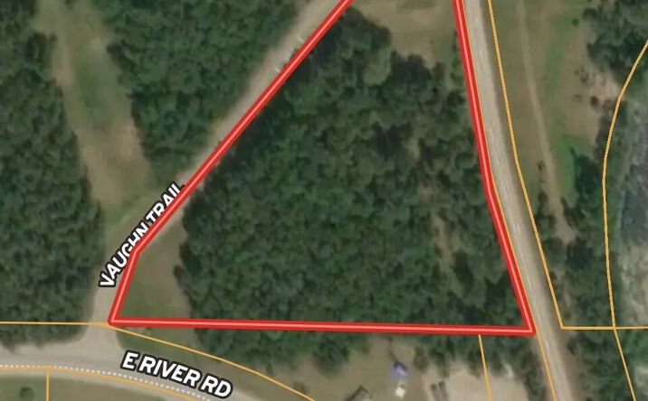 Pictures of Land property located at VL Vaughn Trail, Oscoda, MI 48750 for sales - image #1
