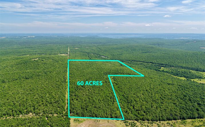 Pictures of Land property located at 60 N 4260 Road, Stigler, OK 74462 for sales - image #1