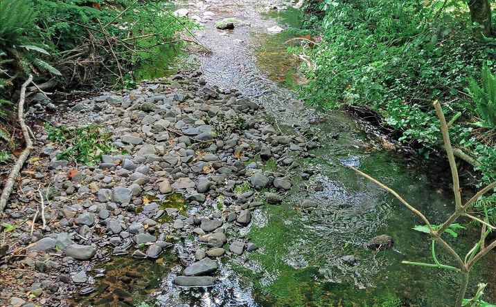 Pictures of Land, Multifamily property located at TL 4500 & 775 N DEERLANE Loop, Otis, OR 97368 for sales - image #1