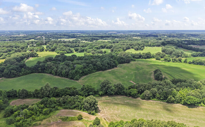 Pictures of Land property located at Aubrey Ferguson Road, Gadsden, TN 38337 for sales - image #1
