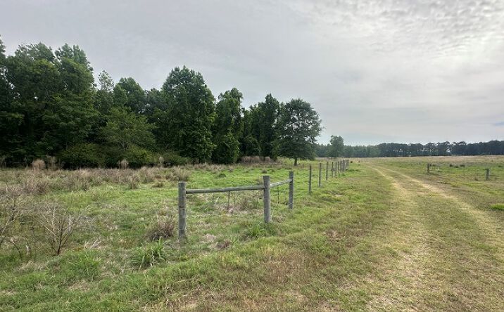 Pictures of Mixed Use, Land property located at 1309 Jarrell Pond Road, Sylvania, GA 30467 for sales - image #1