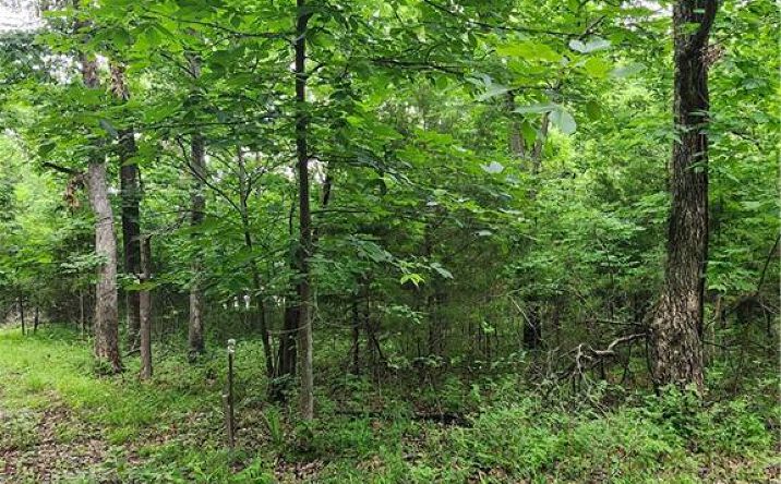 Pictures of Land, Special Purpose, Multifamily property located at 35 Mystic Valley Drive, Linn Valley, KS 66040 for sales - image #1