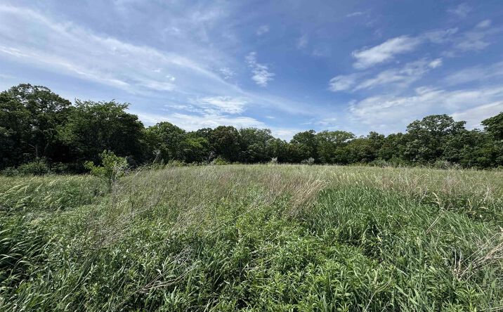 Pictures of Land property located at Magnolia Lane, Danville, IA 52623 for sales - image #1