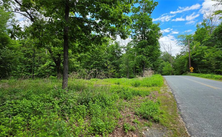 Pictures of Land, Special Purpose property located at Ski Run Road, Wurtsboro, NY 12790 for sales - image #1