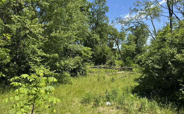 Pictures of Land property located at 11679 N IL ROUTE 2, Rockford, IL 61102 for sales - image #1