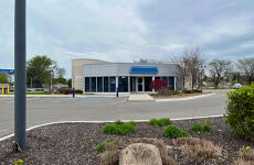 33226479