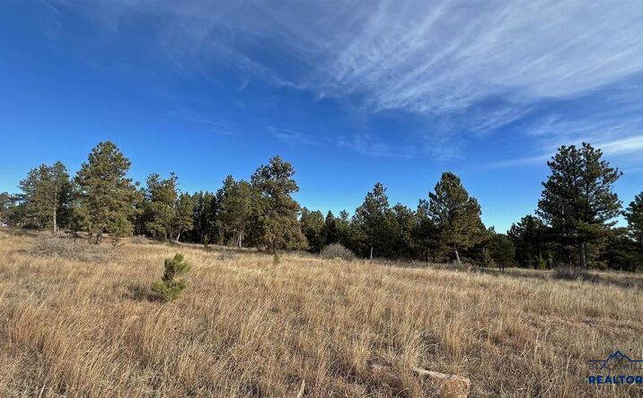 Pictures of Land property located at Lot 8 Argyle Rd, Hot Springs, SD 57747 for sales - image #1