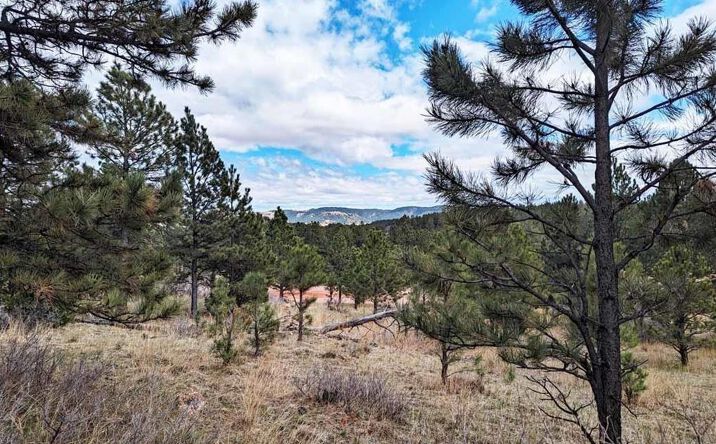 Pictures of Land property located at TBD Lot 1 Argyle rd, Hot Springs, SD 57747 for sales - image #1