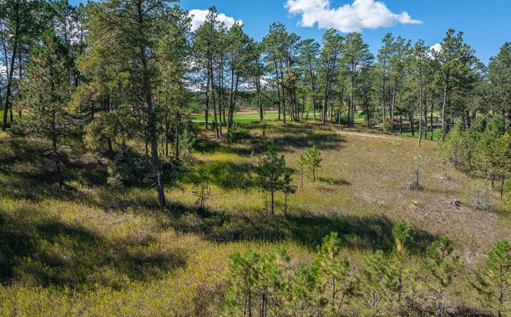 Pictures of Land property located at TBD Bald Eagle, Hot Springs, SD 57747 for sales - image #1