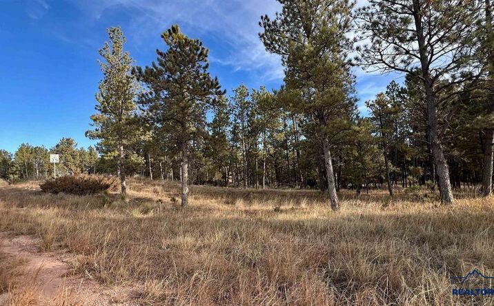 Pictures of Land property located at Lot 9 Argyle Rd, Hot Springs, SD 57747 for sales - image #1