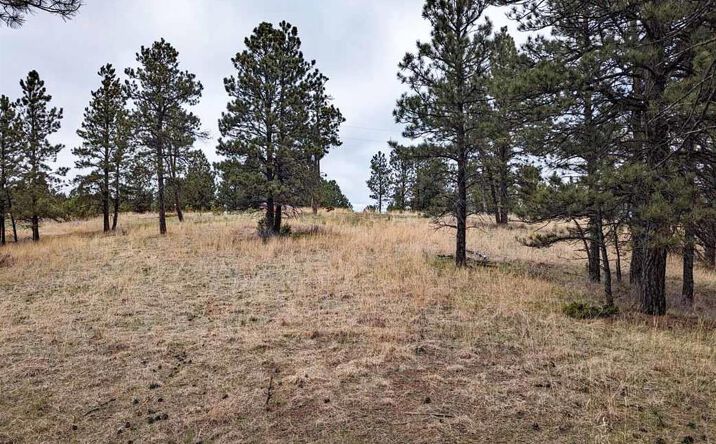 Pictures of Land property located at Lot 6 Argyle Road, Hot Springs, SD 57747 for sales - image #1
