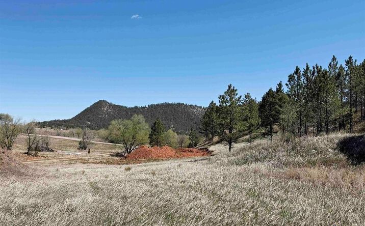 Pictures of Land property located at Lot 12 Wedgewood Dr, Hot Springs, SD 57747 for sales - image #1