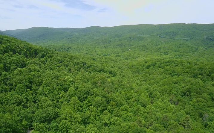 Pictures of Land, Multifamily property located at Lot 15 Cove Creek, Bastian, VA 24314 for sales - image #1
